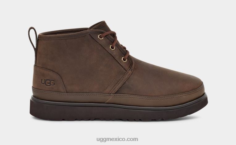 oso pardo 00NF1528 UGG hombres neumel tiempo ii