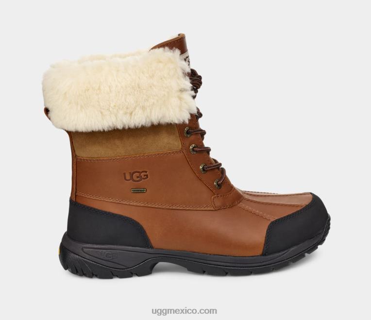 worchester 00NF1523 UGG hombres mota