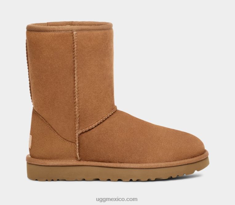 castaña 00NF1515 UGG hombres corto clásico