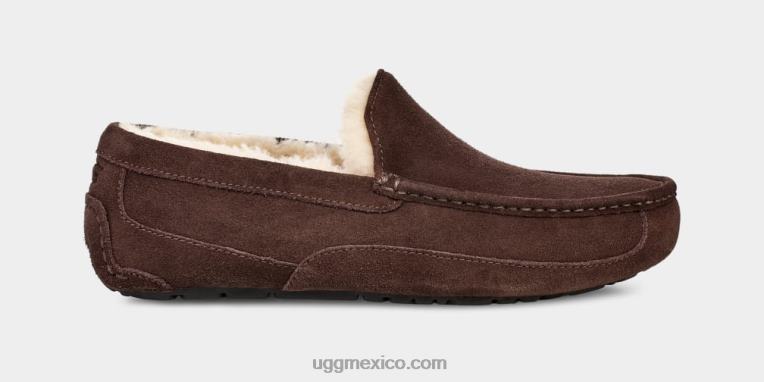 Café exprés 00NF1652 UGG hombres zapatilla ascot