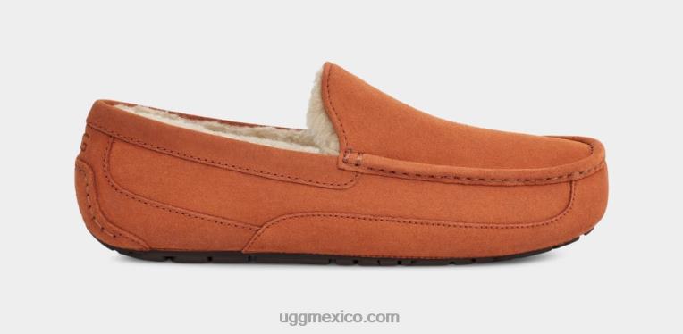 Tablas de madera 00NF1651 UGG hombres zapatilla ascot