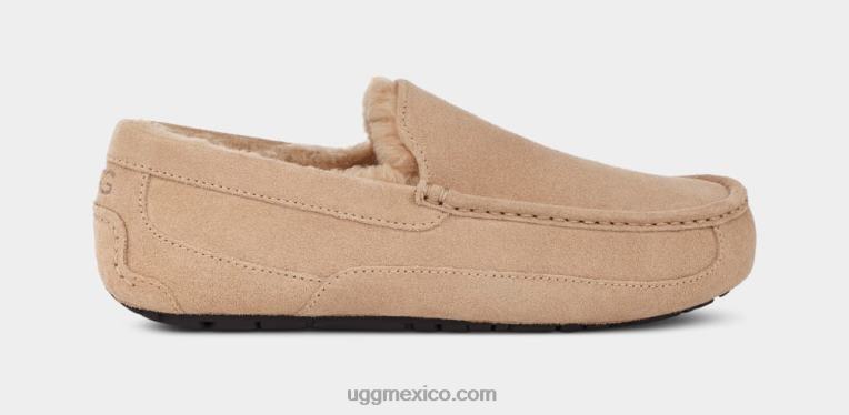 arena 00NF1423 UGG hombres zapatilla ascot