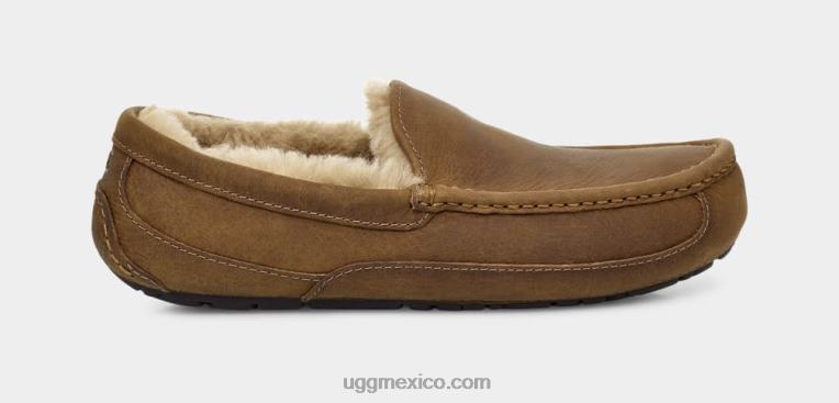 broncearse 00NF1504 UGG hombres ascot de cuero mate