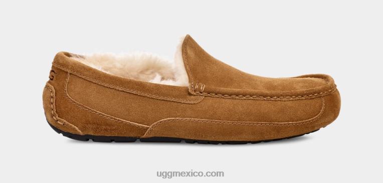 castaña 00NF1421 UGG hombres zapatilla ascot