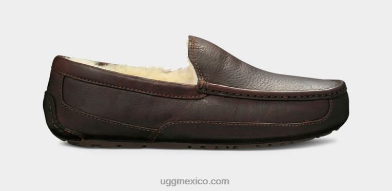 té chino 00NF212 UGG hombres zapatilla de cuero ascot