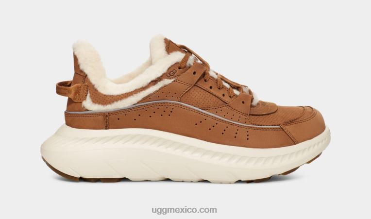 castaña 00NF1474 UGG hombres patrimonio ca805 v2