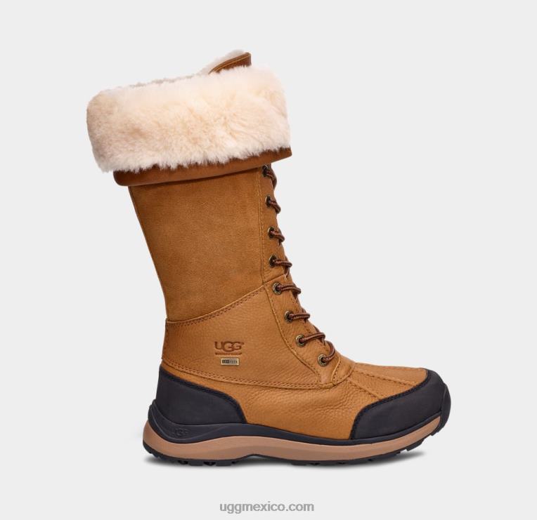 castaña 00NF597 UGG mujer bota alta adirondack iii