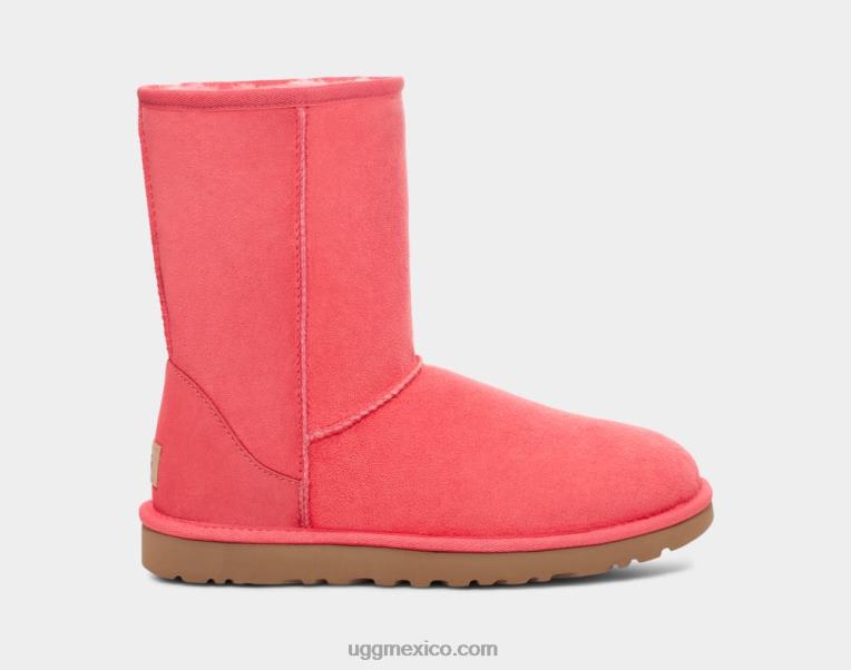 coral nantucket 00NF717 UGG mujer bota clásica corta ii