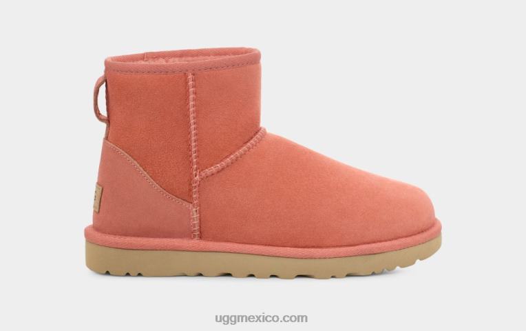 maceta de barro 00NF2147 UGG mujer bota clásica mini ii
