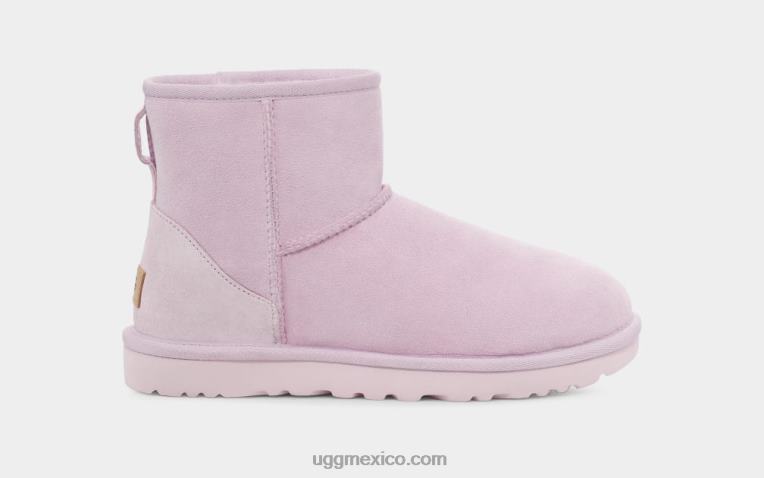 niebla de lavanda tnl 00NF2148 UGG mujer bota clásica mini ii