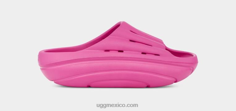 Dragon de fruta 00NF375 UGG mujer tobogán de espuma