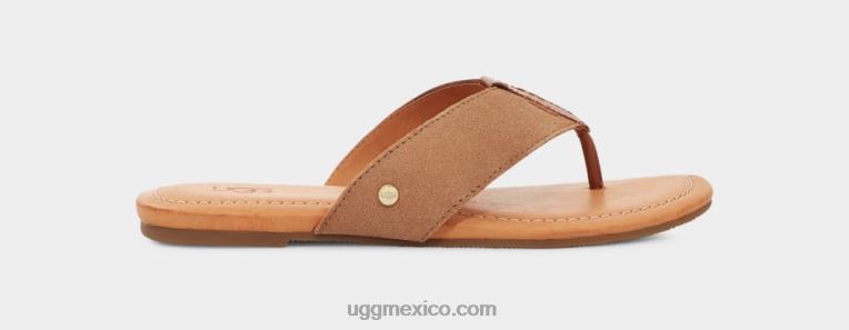 castaña 00NF3 UGG mujer gamuza carey