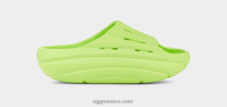 chartreuse pálido 00NF377 UGG mujer tobogán de espuma