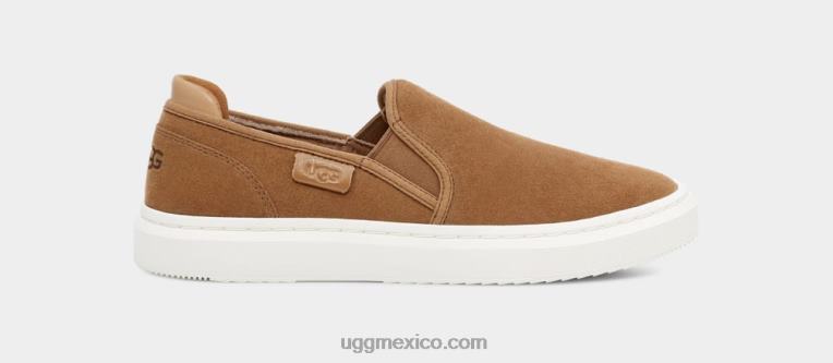 castaña 00NF24 UGG mujer slip alameda en gamuza