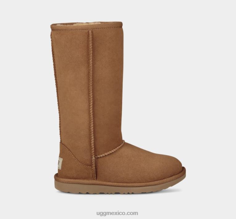 castaña 00NF1718 UGG niños bota alta clásica ii