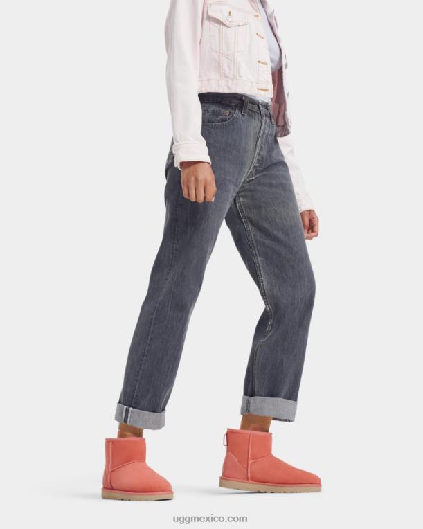 maceta de barro 00NF2147 UGG mujer bota clásica mini ii