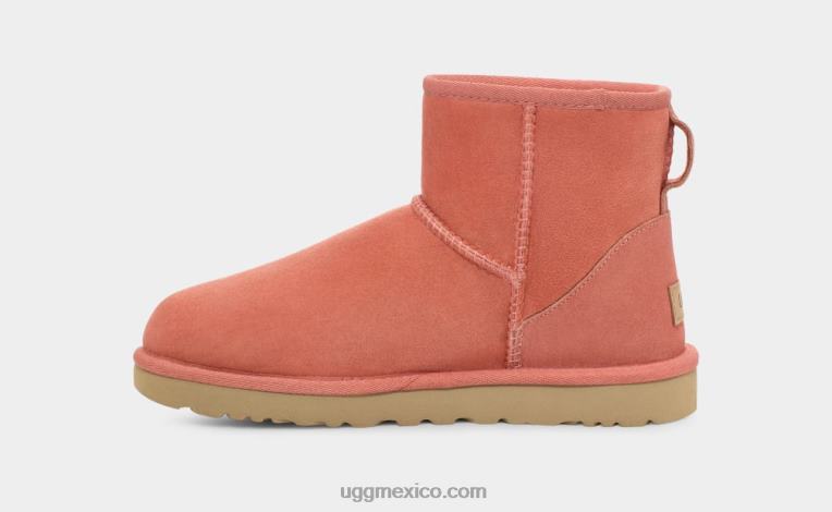 maceta de barro 00NF2147 UGG mujer bota clásica mini ii