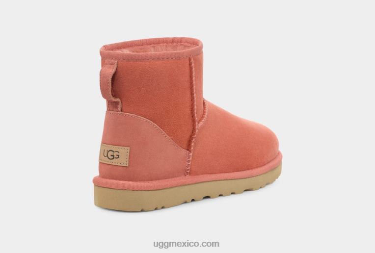 maceta de barro 00NF2147 UGG mujer bota clásica mini ii