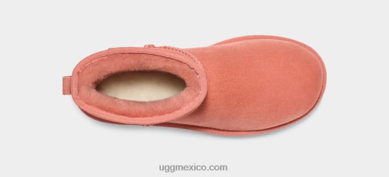 maceta de barro 00NF2147 UGG mujer bota clásica mini ii