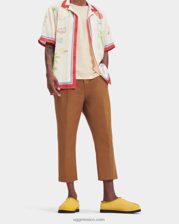 maíz 00NF220 UGG hombres Tasmania