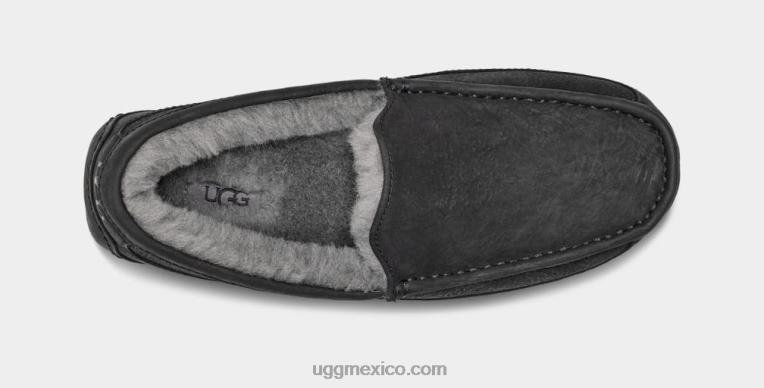 negro 00NF1503 UGG hombres ascot de cuero mate