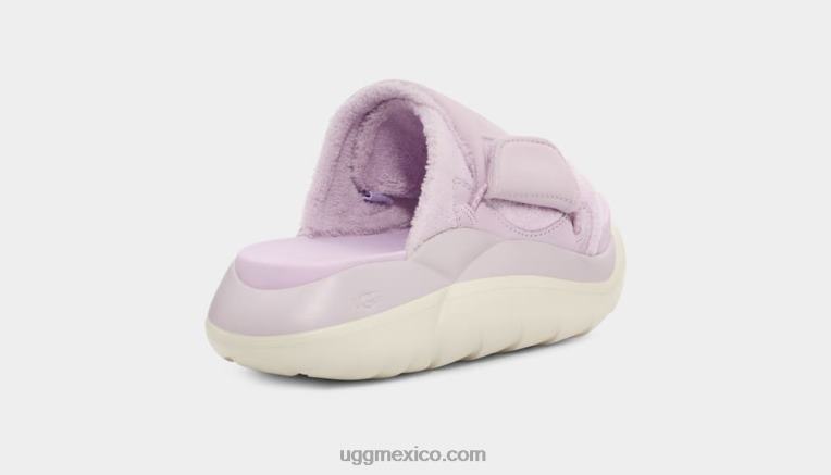 niebla de lavanda 00NF526 UGG mujer la diapositiva de la nube