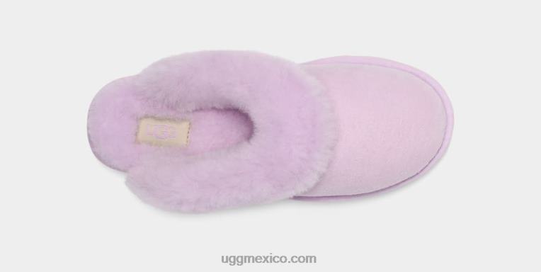 niebla de lavanda 00NF610 UGG mujer zapatilla clásica ii