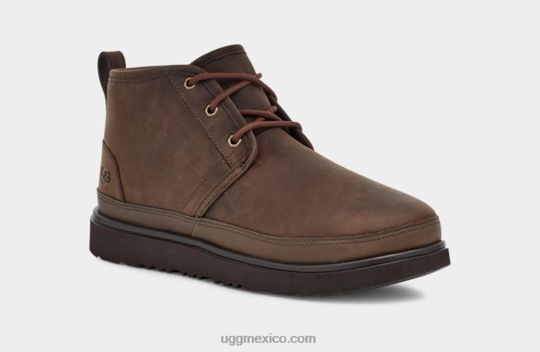 oso pardo 00NF1528 UGG hombres neumel tiempo ii
