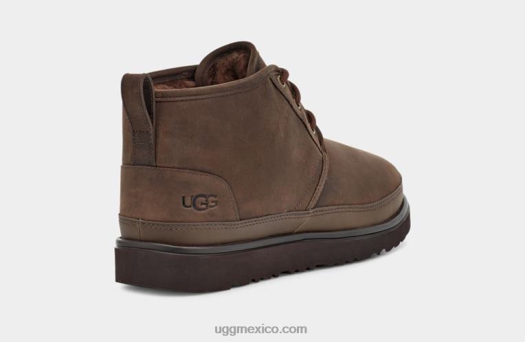 oso pardo 00NF1528 UGG hombres neumel tiempo ii