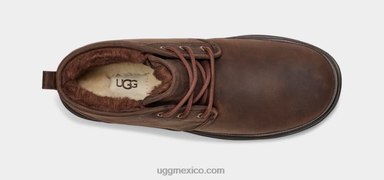 oso pardo 00NF1528 UGG hombres neumel tiempo ii