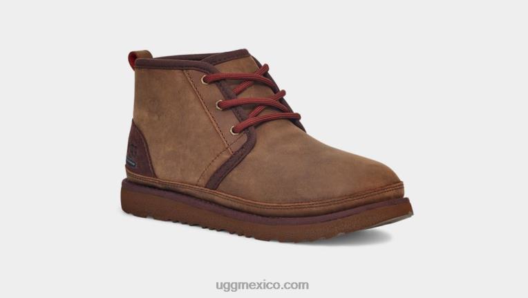 oso pardo 00NF2090 UGG niños el tiempo neumel ii