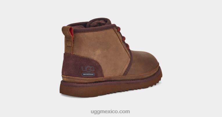 oso pardo 00NF2090 UGG niños el tiempo neumel ii