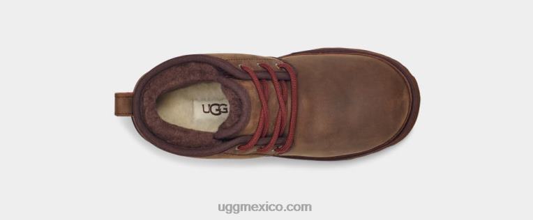oso pardo 00NF2090 UGG niños el tiempo neumel ii