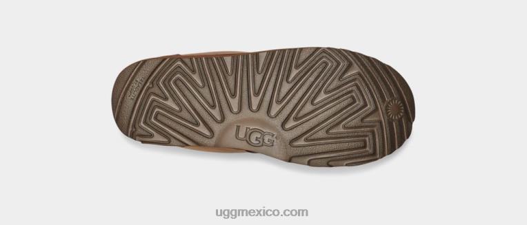 oso pardo 00NF2090 UGG niños el tiempo neumel ii