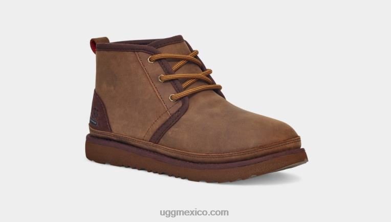 oso pardo 00NF2090 UGG niños el tiempo neumel ii