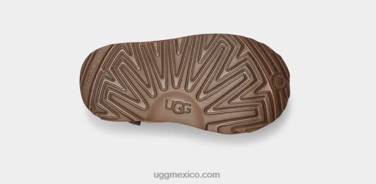 oso pardo 00NF314 UGG niños pequeños el tiempo neumel ii
