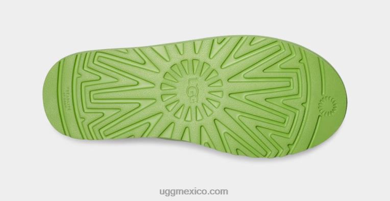 periquito verde 00NF1556 UGG hombres bota neumel