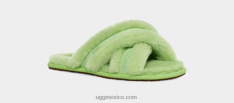 periquito verde 00NF43 UGG mujer suffita