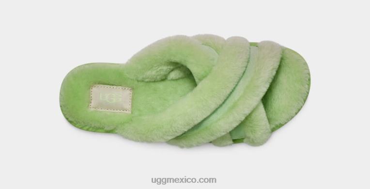 periquito verde 00NF43 UGG mujer suffita