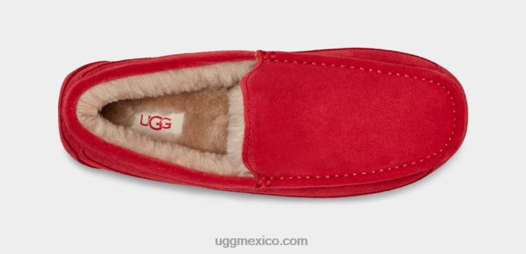 rojo samba 00NF1653 UGG hombres zapatilla ascot