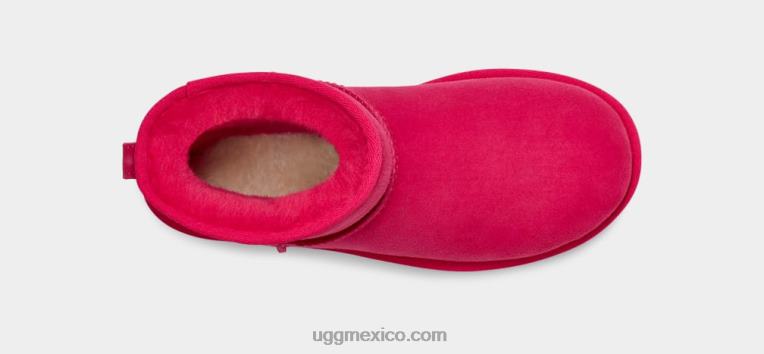 rábano 00NF853 UGG mujer bota clásica mini ii