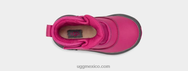 sorbete de frambuesa/gris 00NF316 UGG niños pequeños tiempo taney