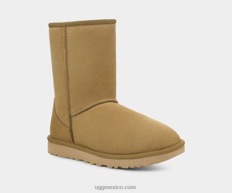 tomatillo 00NF714 UGG mujer bota clásica corta ii