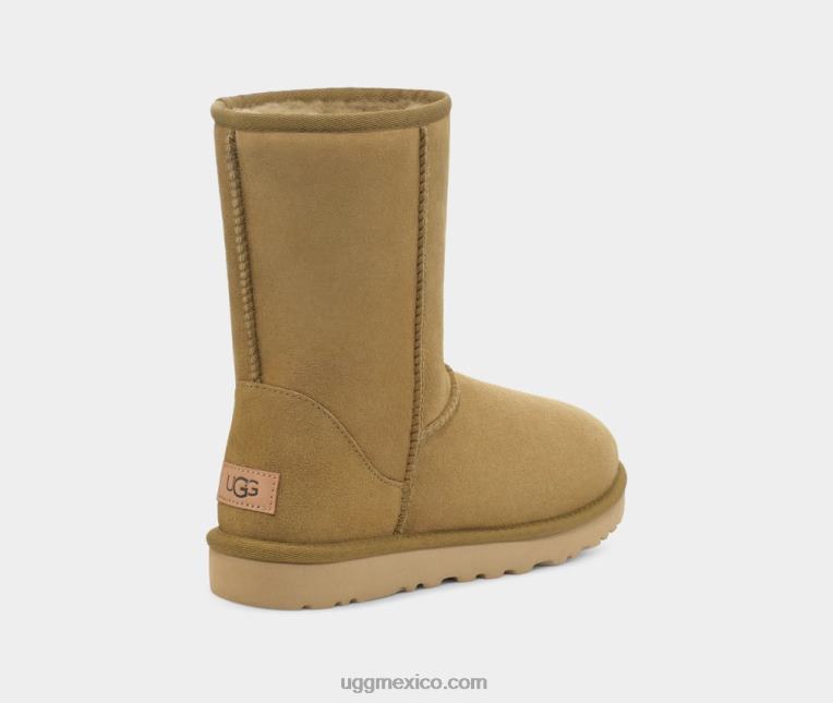 tomatillo 00NF714 UGG mujer bota clásica corta ii