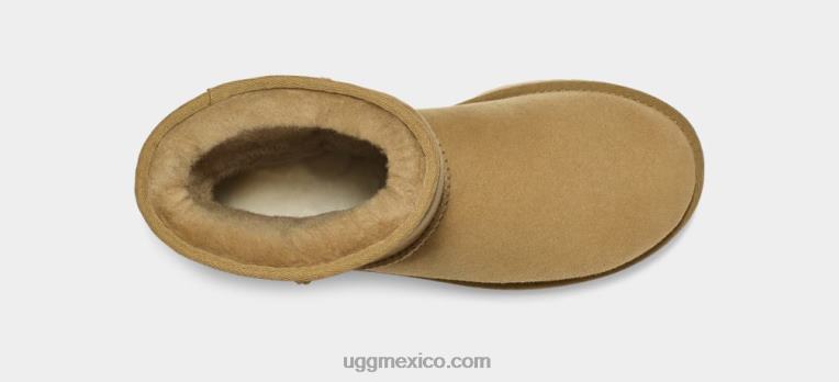 tomatillo 00NF714 UGG mujer bota clásica corta ii