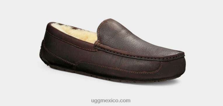 té chino 00NF212 UGG hombres zapatilla de cuero ascot