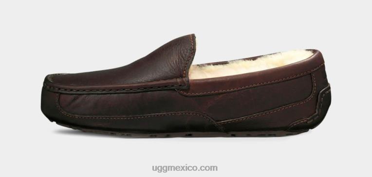 té chino 00NF212 UGG hombres zapatilla de cuero ascot