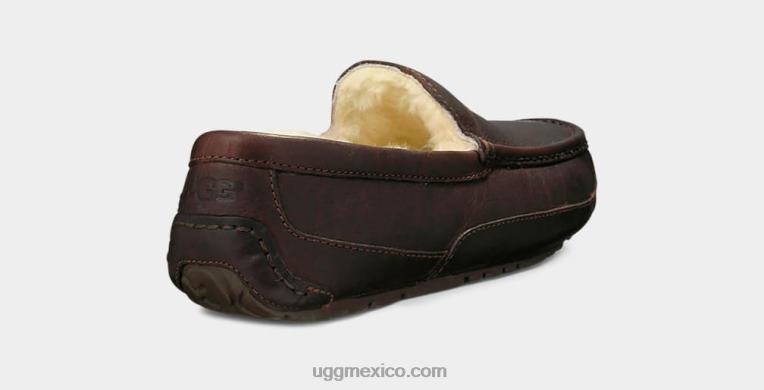 té chino 00NF212 UGG hombres zapatilla de cuero ascot