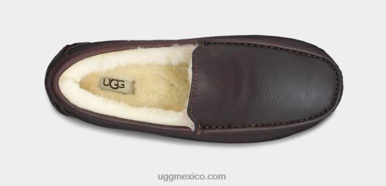 té chino 00NF212 UGG hombres zapatilla de cuero ascot