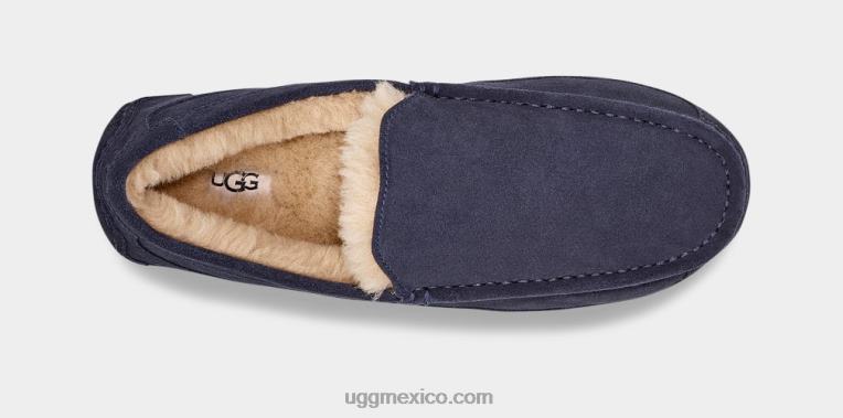 verdadera marina 00NF1654 UGG hombres zapatilla ascot